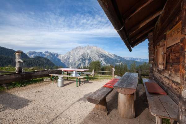 Bild aus der Galerie