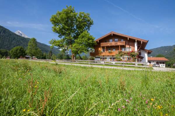 Bild aus der Galerie