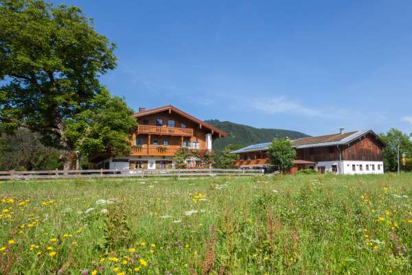 Bild aus der Galerie