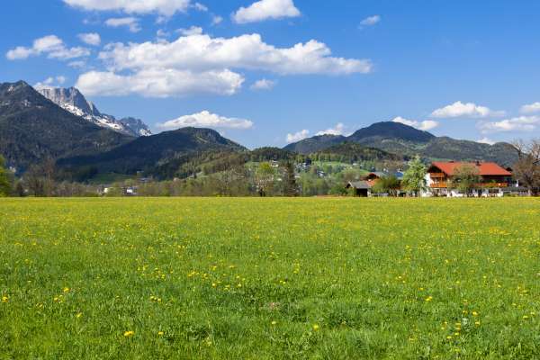 Bild aus der Galerie