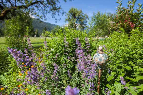 Bild aus der Galerie