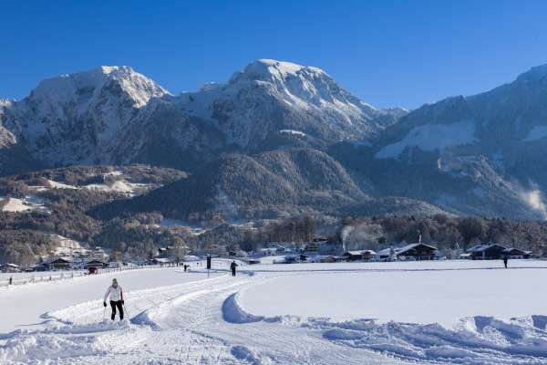 Bild aus der Galerie