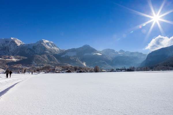 Bild aus der Galerie