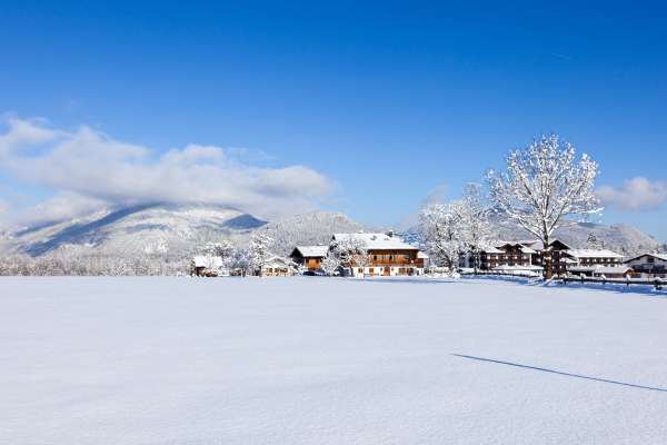 Bild aus der Galerie