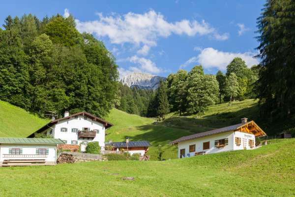 Bild aus der Galerie