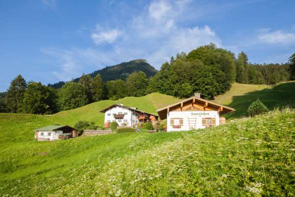 Bild aus der Galerie