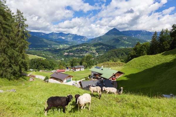 Bild aus der Galerie