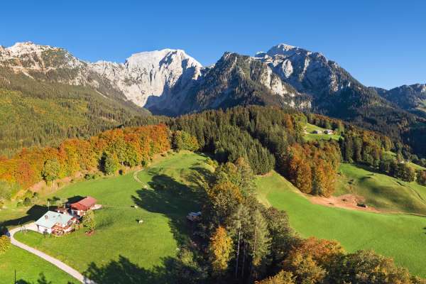 Bild aus der Galerie