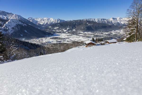 Bild aus der Galerie