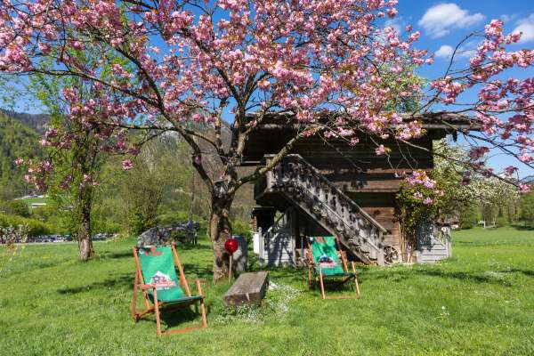 Bild aus der Galerie