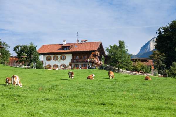 Bild aus der Galerie