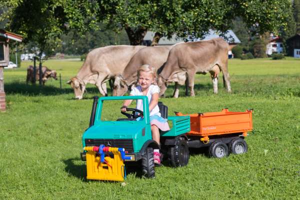 Bild aus der Galerie