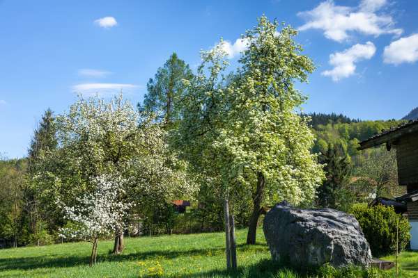 Bild aus der Galerie