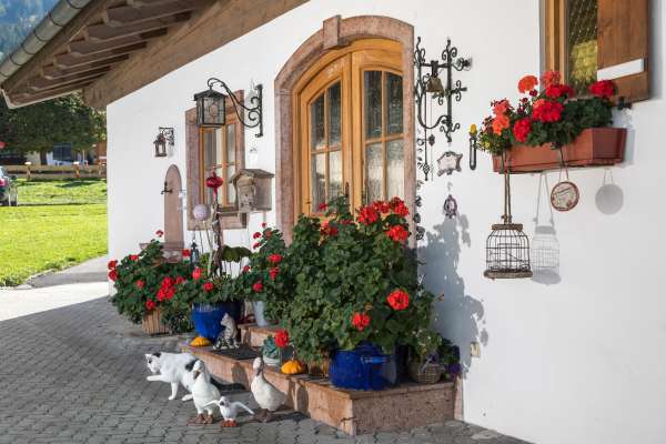 Bild aus der Galerie