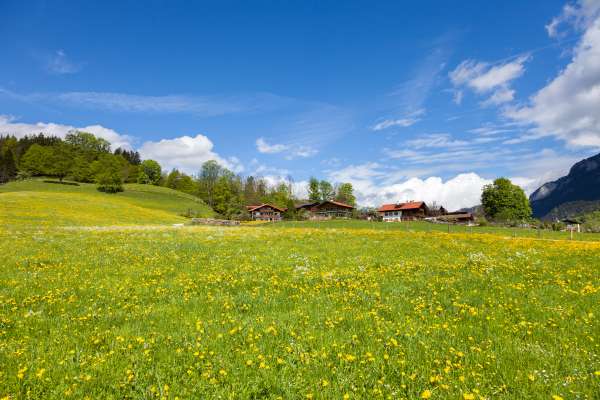 Bild aus der Galerie