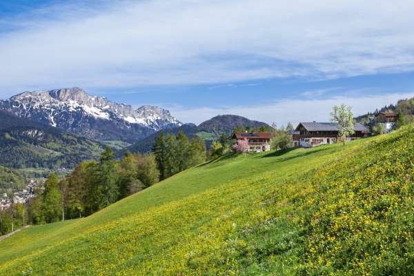 Bild aus der Galerie