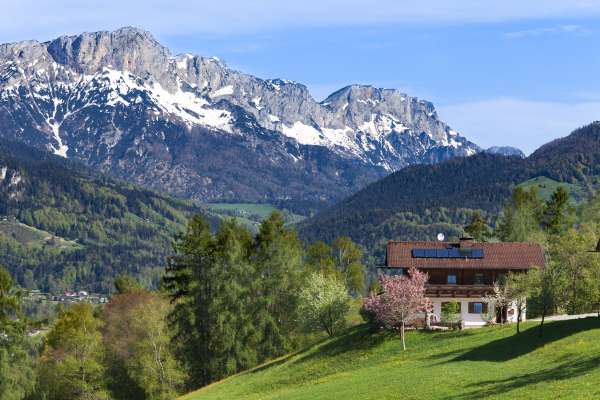 Bild aus der Galerie