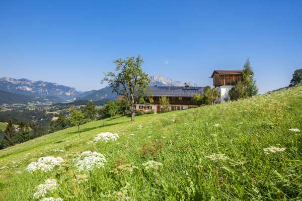 Bild aus der Galerie