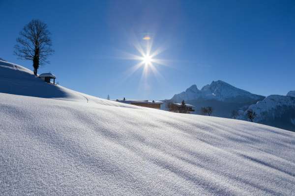 Bild aus der Galerie