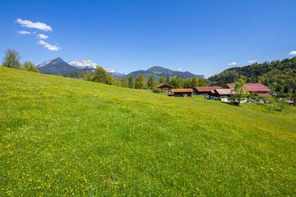 Bild aus der Galerie