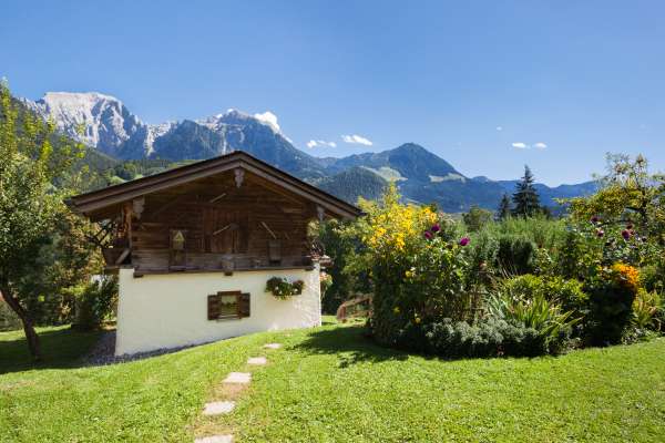 Bild aus der Galerie