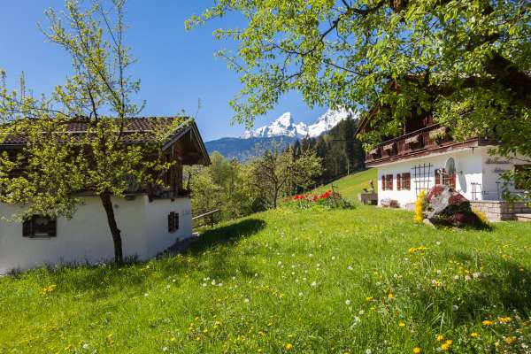 Bild aus der Galerie