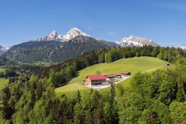 Bild aus der Galerie