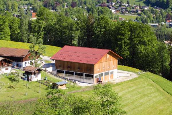 Bild aus der Galerie