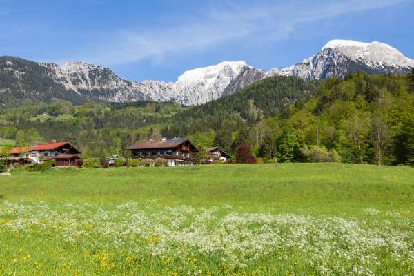 Bild aus der Galerie