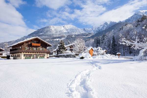 Bild aus der Galerie