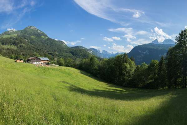 Bild aus der Galerie