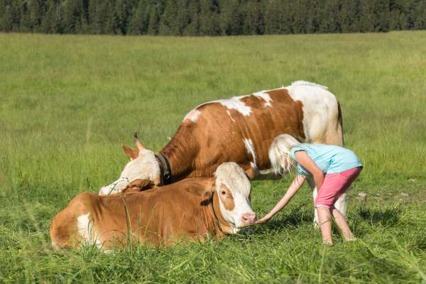 Bild aus der Galerie