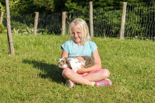 Bild aus der Galerie