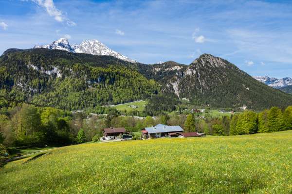 Bild aus der Galerie