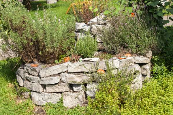 Bild aus der Galerie