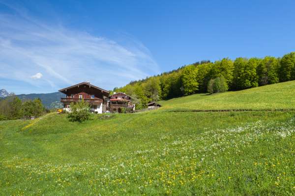 Bild aus der Galerie