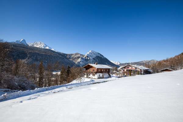 Bild aus der Galerie