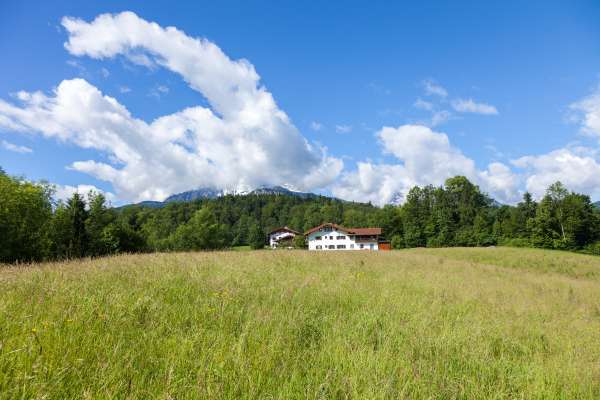 Bild aus der Galerie