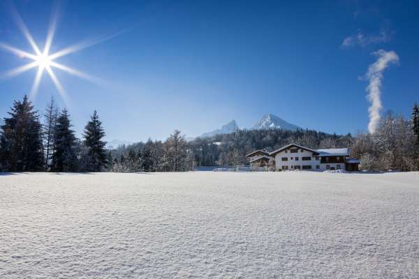 Bild aus der Galerie