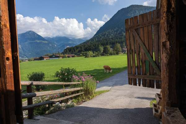 Bild aus der Galerie