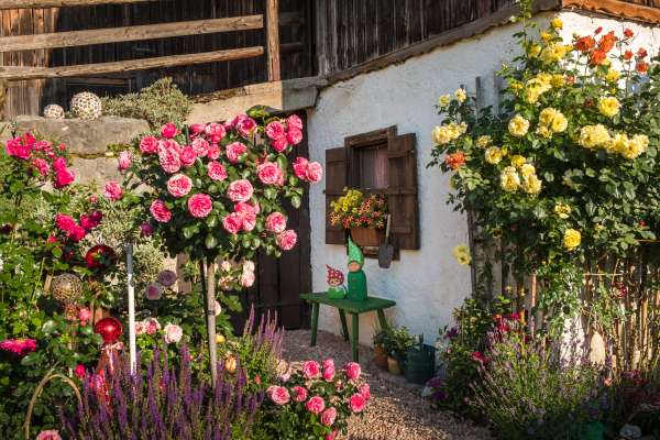 Bild aus der Galerie