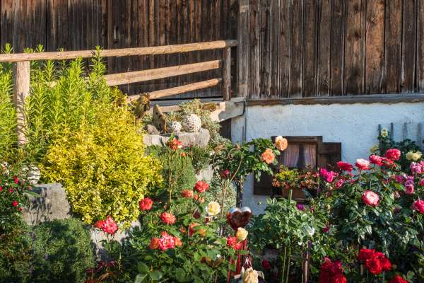 Bild aus der Galerie