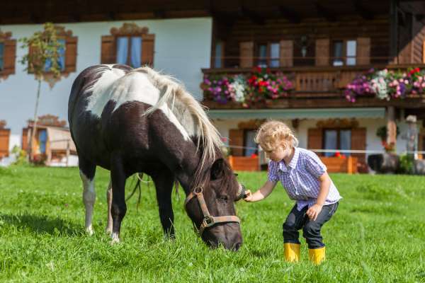 Bild aus der Galerie