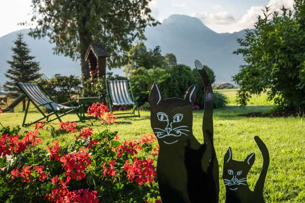 Bild aus der Galerie