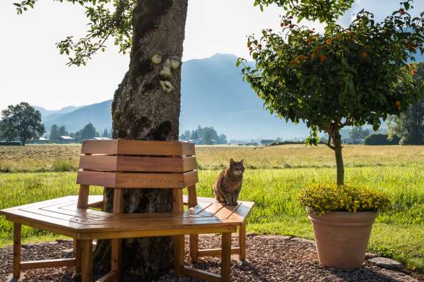 Bild aus der Galerie