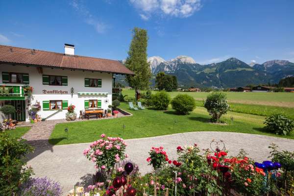 Bild aus der Galerie