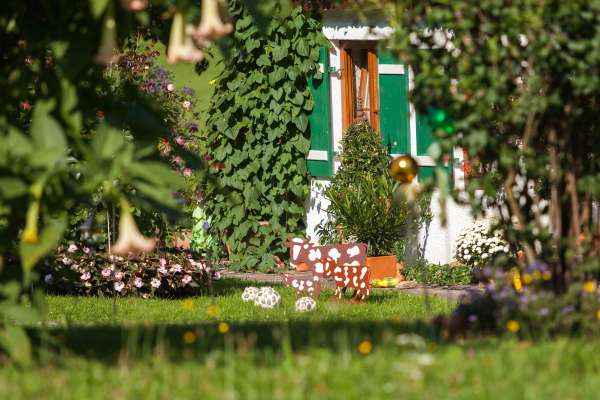 Bild aus der Galerie