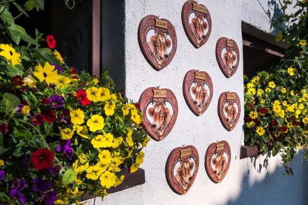 Bild aus der Galerie