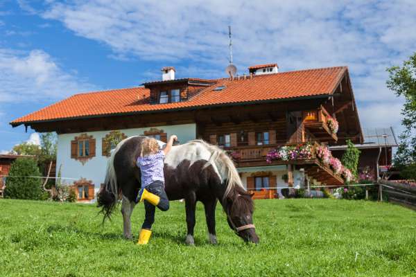 Bild aus der Galerie