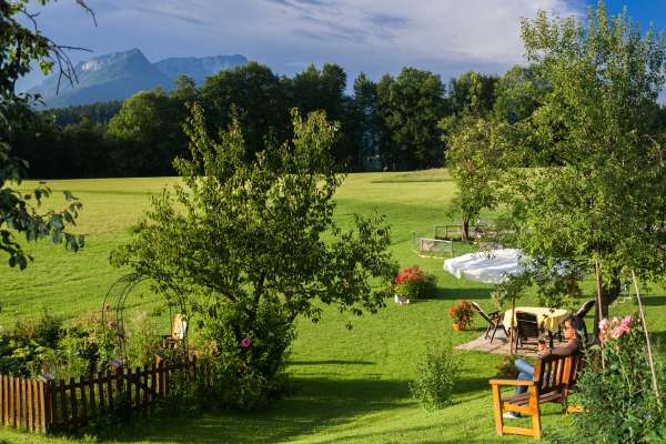 Bild aus der Galerie